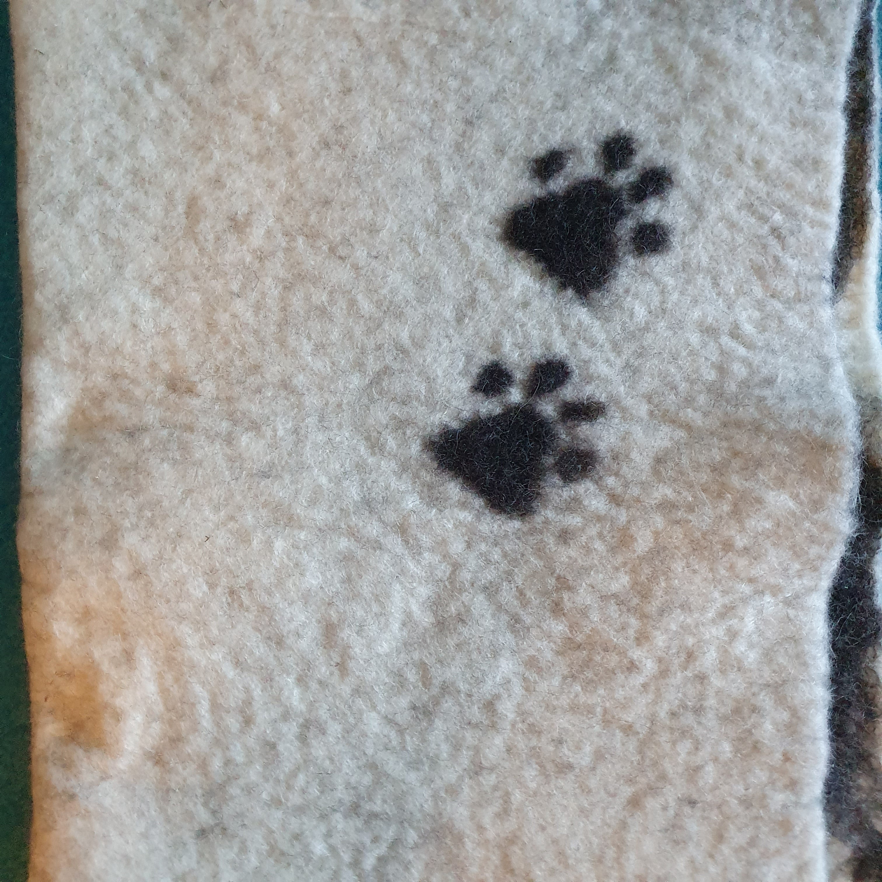 nan1