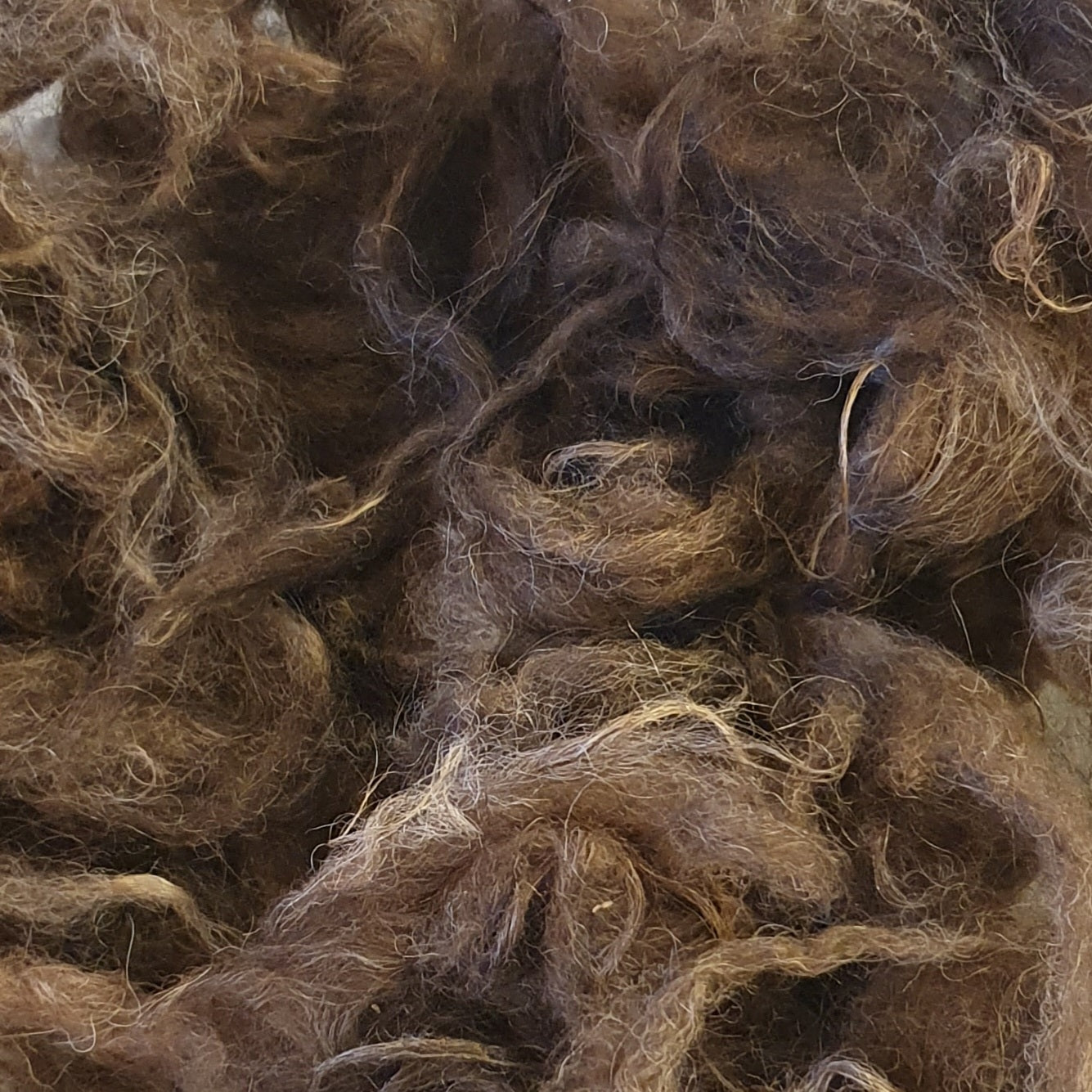 Spinnfiber av Isländska Ledarfår, från