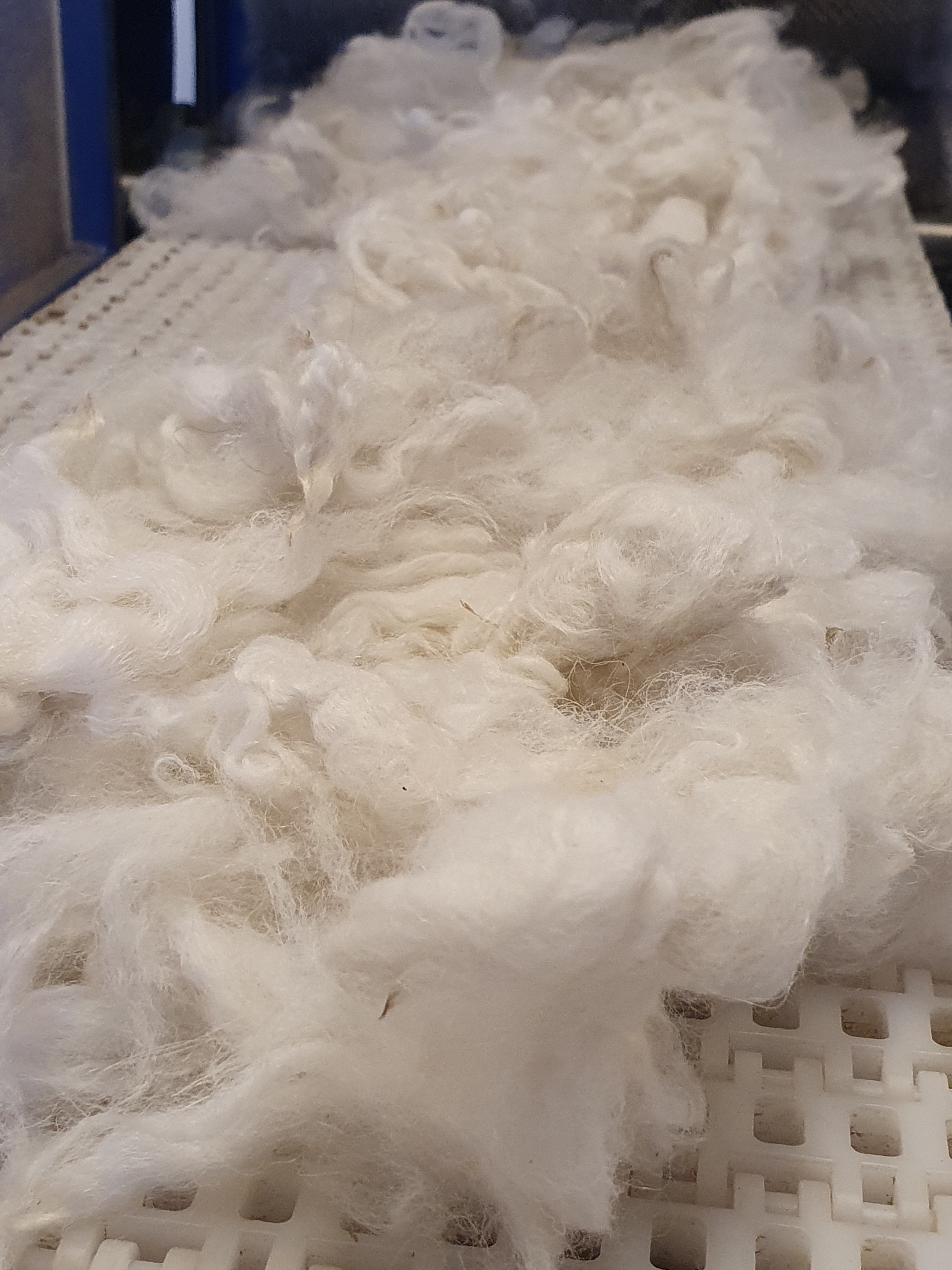 Kardband av alpacka och lite mohair