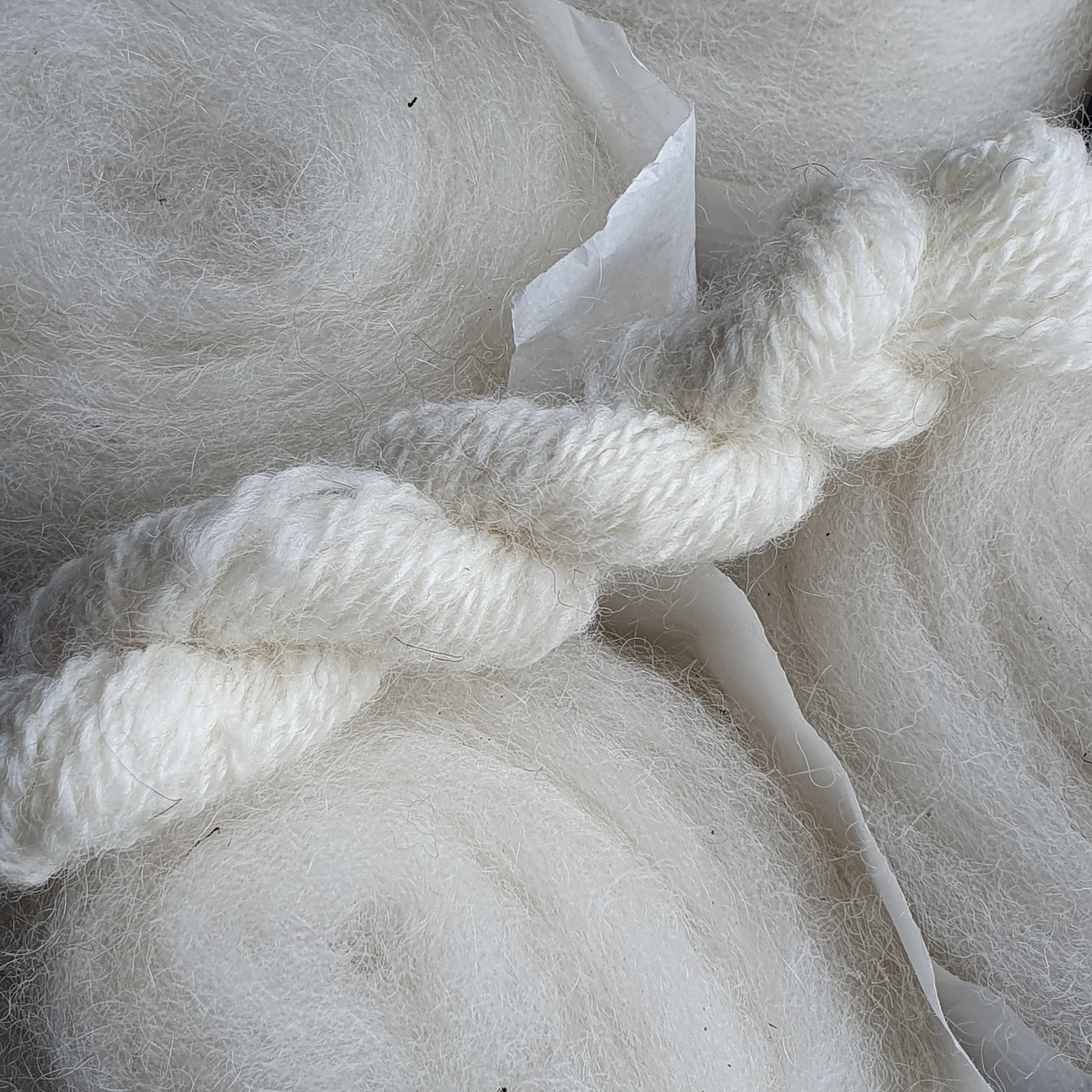 Kardband av alpacka och lite mohair